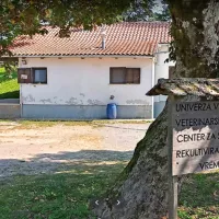 Dotrajane objekte na območju CSR Vremščica želijo posodobiti in 
jim dodati nove vsebine.