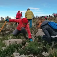 Zagnani prostovoljki s   Primorskih novic se pri delu nista pustili motiti.   