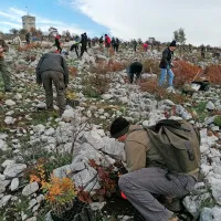 Prostovoljci so prišli z vseh koncev, da bi pomagali pogorelemu Krasu