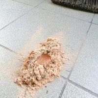 Krajani v bližini tovarne opozarjajo na velike količine lesnega 
prahu na svojih parcelah.