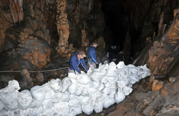 Kar 1000 vreč, napolnjenih z lešem, so na ramenih odnesli iz jame. 