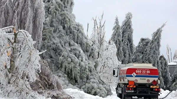Dari Južna opozarja, da država Petrolu še ni povrnila škode, ki je 
nastala z vladno regulacijo cen naftnih derivatov.
