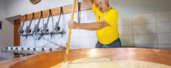 Na planinah v Posočju ohranjajo tradicijo in pridelujejo božanske 
sire!