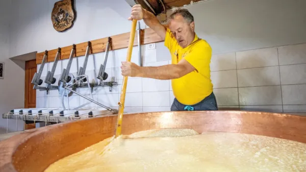 Na planinah v Posočju ohranjajo tradicijo in pridelujejo božanske 
sire!