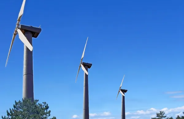 V AAG bodo vladni sklep o izvedbi DPN za vetrnice sodno izpodbijali