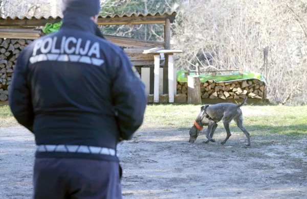 Prizorišče umora so policisti pregledali tudi z dronom, pri ogledu 
pa je sodeloval še vodnik s službenim psom za iskanje bioloških 
sledi.



