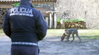 Prizorišče umora so policisti pregledali tudi z dronom, pri ogledu 
pa je sodeloval še vodnik s službenim psom za iskanje bioloških 
sledi.



