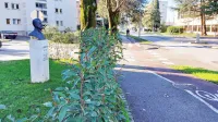 Tumov kip se je po prodaji nepremičnine znašel na zasebnem 
zemljišču in za živo mejo. Postopek  njegove prestavitve teče.