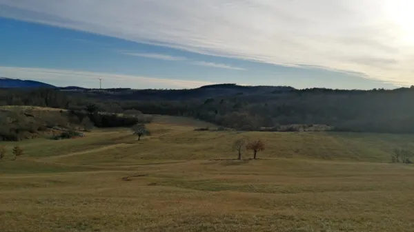 Krajani opozarjajo, da izkoristek obnovljive energije še zdaleč ne 
bi odtehtal škode, ki bi jo vetrno polje na Griškem polju povzročilo 
okolju, naravi, živalim in ljudem v okolici.