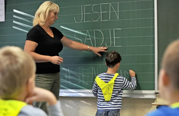 V osnovnih šolah prevladujejo starejši učitelji. V prihodnjih letih je 
pričakovati val upokojitev, mladih, ki bi popolnili vrste, pa ni.