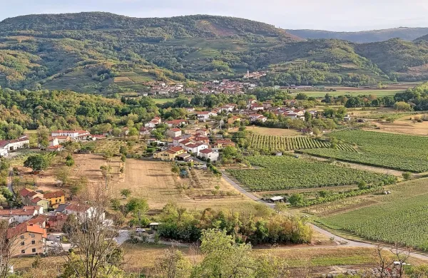 Namakalno polje v ajdovski občini bi po trenutnih ocenah lahko 
pokrilo 1200 hektarov kmetijskih zemljišč. 