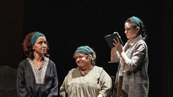 Teatri Stabil Furlan je mlado gledališče, ki si želi sodelovanj s 
sorodnimi ustanovami.
