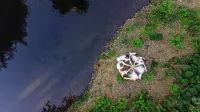 Fotografija Bele žene, avtorja Stojana Spetiča, si je prislužila 
objavo v prestižni reviji National Geographic. 