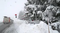 Sneg vleče denar iz proračunov občin