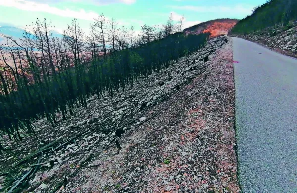 Ob  cesti iz Renč  proti Temnici  ni več dreves, ki so voznikom dajala 
občutek varnosti.     