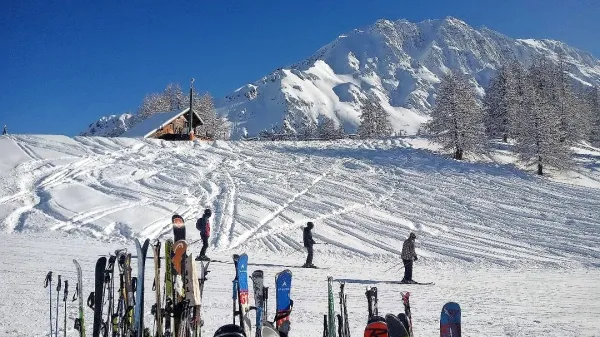 Sam svoj šef nad 250 metri nadmorske višine