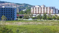 Urbano središče Barka, kot se po novem imenuje območje 
nekdanjega Toncitya, je še vedno predvsem velik travnik.