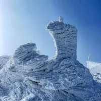 V dolžino se lahko ivja nabere tudi prek enega metra, kar ustvari 
idilične zimske slike.