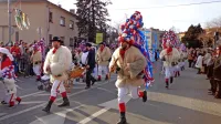 Podgrajski škoromati so najbolj divji in najbolj privlačen del 
znamenite pustne povorke po ulicah Ilirske Bistrice. 