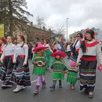 Ognjeni bistriški pustni spektakel (foto)