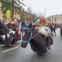 Ognjeni bistriški pustni spektakel (foto)
