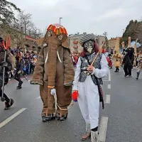 Ognjeni bistriški pustni spektakel (foto)