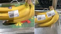 Tehtanje na tehtnici s plastičnim  pokrovom je pokazalo težo  0,880 
kg,  brez pokrova pa 0,768 kilograma. 