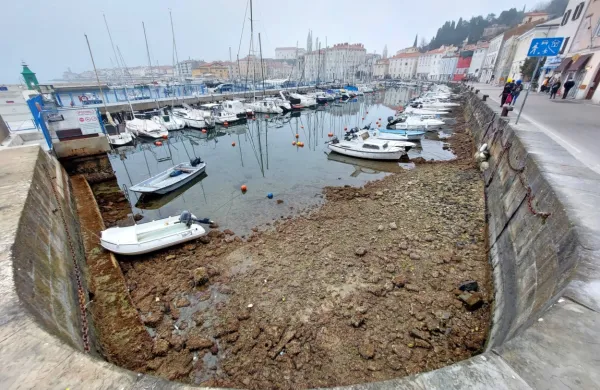 Zaradi močne ponedeljkove oseke je dno piranskega mandrača 
spominjalo na lunino površino.
