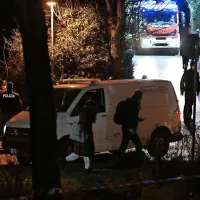 Truplo pokojnice  so v svetoivanskem parku našli 5. januarja 
lani.