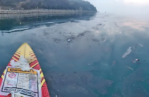 V Upravi za pomorstvo so se danes zgodaj zjutraj lotili čiščenja 
črnega madeža.