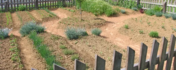 Oblika vrta ni predpisana, a naj bo tak, da vam bo všeč. Le fiksne 
trajne gredice naj ima.