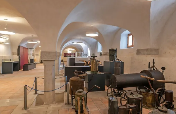 V Goriškem muzeju, ki je ob denarni podpori Občine Vipava vsebinsko zasnoval Vinarski muzej Vipava, želijo 
zbirko nadgraditi s pristnim doživetjem trgatve.  