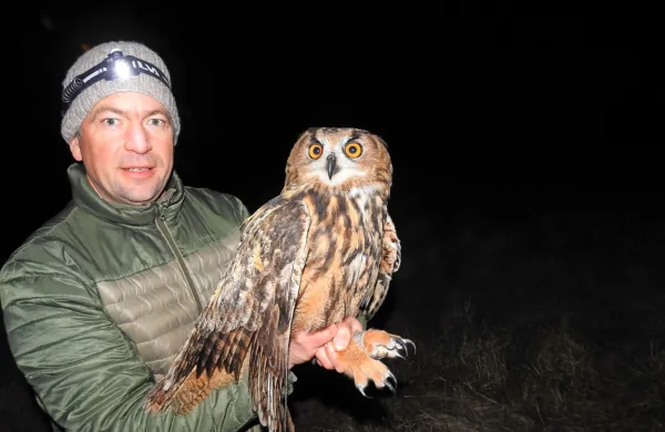 V DOPPS so zadovoljni, da so njihova prizadevanja, predvsem pri 
odpravljanju vznemirjanja na gnezdiščih in reševanja problema elektrokucije na daljnovodih,  že obrodila sadove (na fotografiji opremljanje sove s telemetrijo).