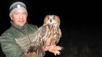 V DOPPS so zadovoljni, da so njihova prizadevanja, predvsem pri 
odpravljanju vznemirjanja na gnezdiščih in reševanja problema elektrokucije na daljnovodih,  že obrodila sadove (na fotografiji opremljanje sove s telemetrijo).