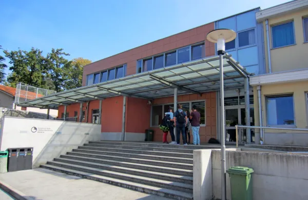 Sežanska osnovna šola je bila zgrajena za največ 27 oddelkov. 
Danes jih imajo na šoli 38.