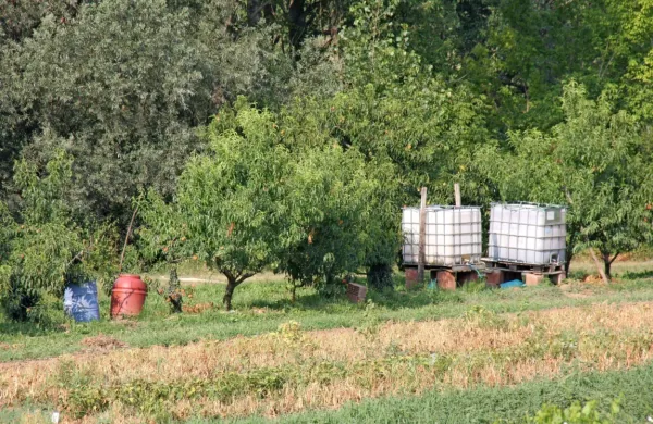  Kot kaže, bodo namakali kmetijska zemljišča od Črnič do Podrage.