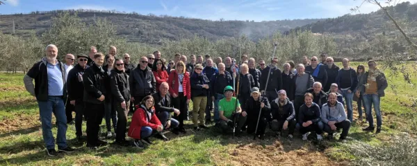 Številčna udeležba na prikazu rezi za polikonično obliko krošnje, 
ki jo je prikazal mojster rezi Mario Santopadere iz italijanske 
pokrajine Marche.