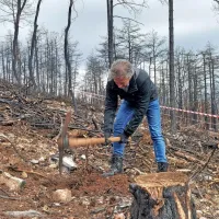 Sadnje mladih dreves pri Renčah sta se udeležila tudi premier 
Robert Golob in Tina Gaber.