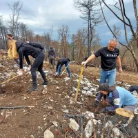 Približno 200 prostovoljcev je posadilo 900 sadik hrasta  in 
posejalo 24     kilogramov semen avtohtonih listavcev. 