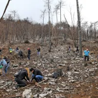 (FOTO, VIDEO) Golob: “Pomembno je, da zdaj na Kras ne pozabimo”