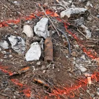 Med sadnjo dreves so našli tudi granato.