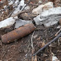 Med sadnjo dreves so našli tudi granato.