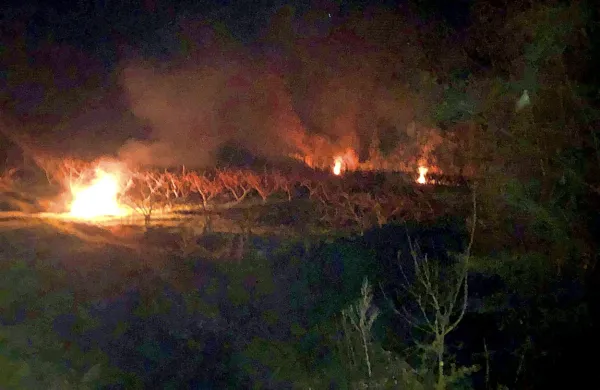 V nasadu breskev pod Krasnim v Brdih so  preventivno zakurili in 
poskrbeli za nekaj stopinj višjo temperaturo.