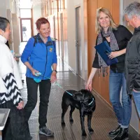 Črna labradorka Nali je tudi med obiskom v novih prostorih 
Primorskih novic v Šalari dokazala, kako povezovalno lahko 
delujejo pasji prijatelji.  