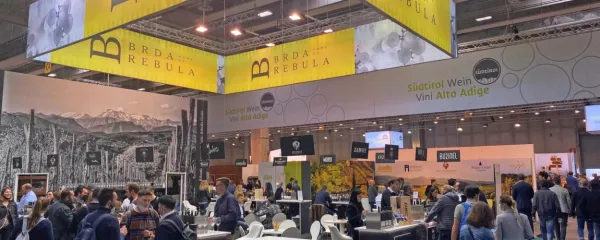 Brici imajo pod barvami rebule od lani veliko večji razstavni 
prostor.