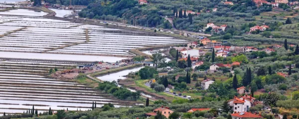 Dobra dva kilometra dolg Jernejev kanal se vije ob robu krajinskega parka Sečoveljske soline.