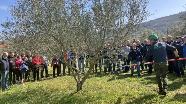 Utrinki iz nedavnega strokovnega posveta o oljkarstvu 



