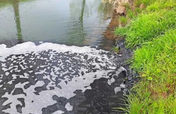 V potok se zliva črna tekočina ...