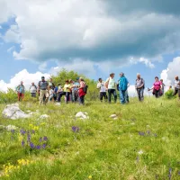 Festival se bo zaključil s celodnevnim dogodkom v Parku Škocjanske jame, kjer bodo poskušali popisati čim več rastlinskih in 
živalskih vrst.
