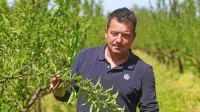 Damijan Krmac z  vejo, na kateri ni niti enega samega plodu  
